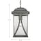 Progress Lighting Abbott Collection One-Light Hanging Lantern P550040-103 - alternate 8